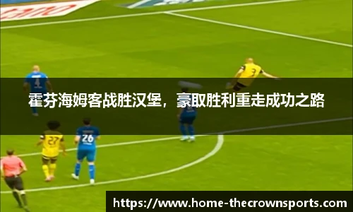 霍芬海姆客战胜汉堡，豪取胜利重走成功之路